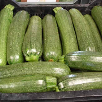 Calabacín Fino Premium